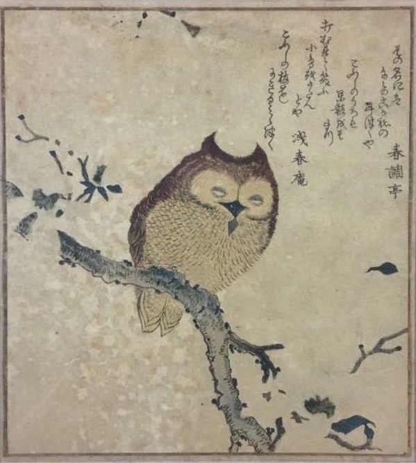 Horned Owl on Flowering Branch by Kubo Shunman
