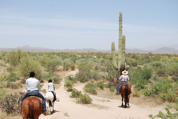 Arizona Trail Ride by Glenecia "Necie" Green