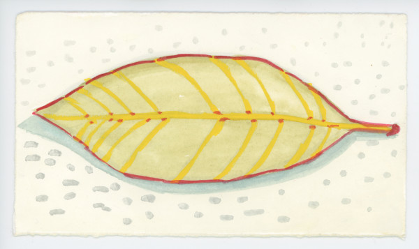 A Magnolia Leaf, #1589