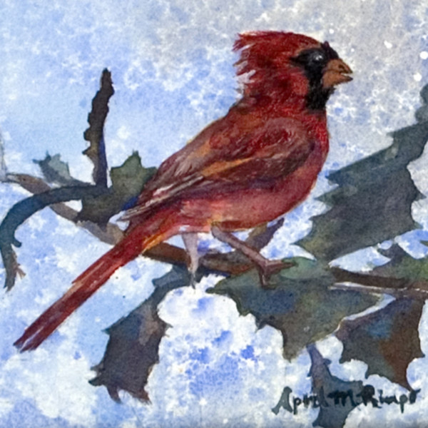 Cardinal in Winter by April Rimpo