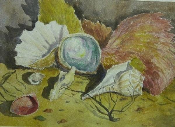 Still Life with Sea Shells by Tunis Ponsen