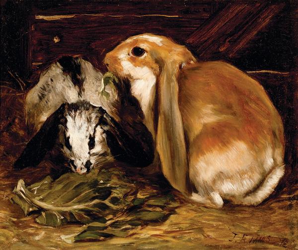 Rabbits by John Emms