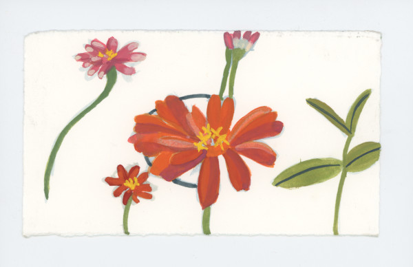 Some Zinnias, #1727