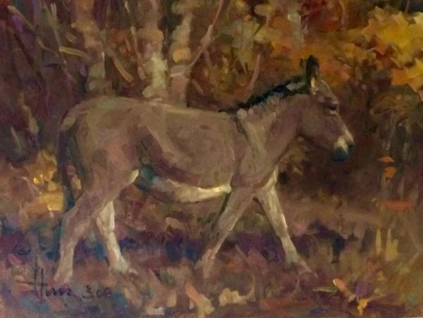 Donkey by Valerie Hinz