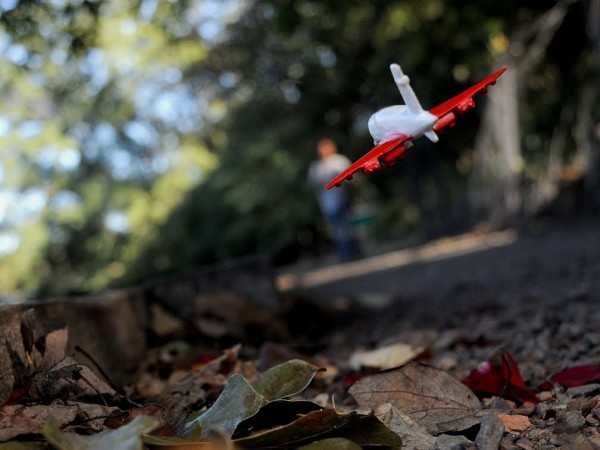 Approximate Altitude 8.4 Inches, Inches Above Earth Series (White and Red Plane over Leaves) by Michael Reese