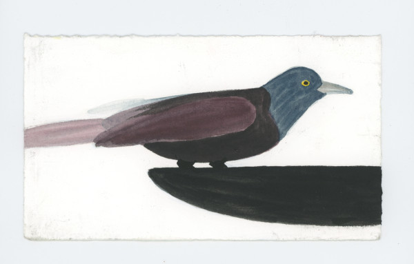 A Grackle, #1908