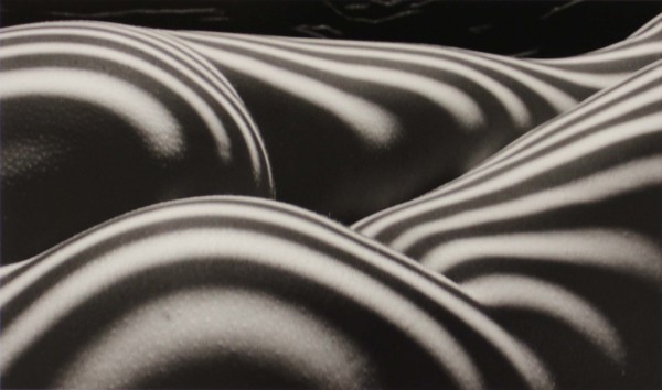 Zebra Nude, New York, 1997, from Nu Zèbre series by Lucien Clergue