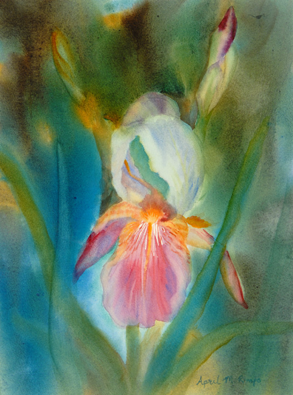 Antique Iris, Image 1.