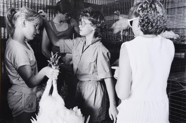 Girls and Chicken, --- Fair, Goodhue County, Minnesota by Stephen Dahl