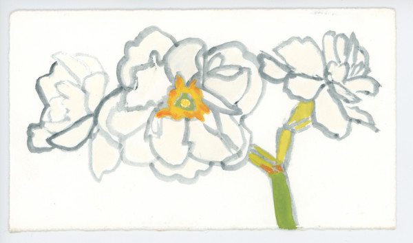 Jonquils, #1605