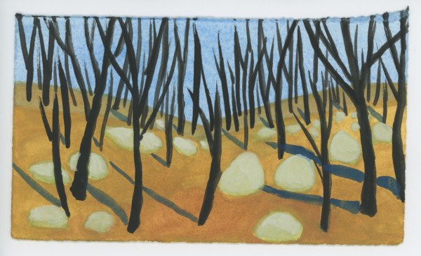 Across the Canal, #1578