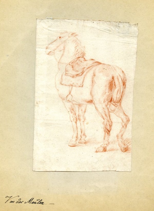 Study of a Horse by Adam Frans van der Meulen