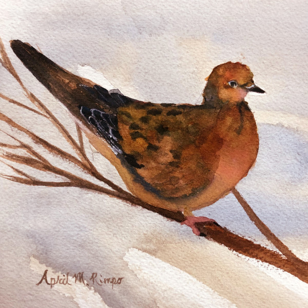 Mourning Dove by April Rimpo