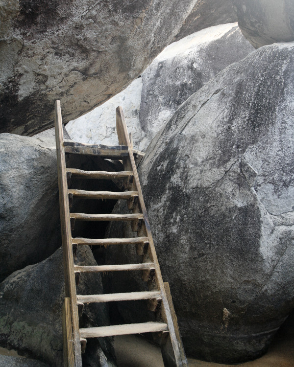 Ladders and Rocks by Todd W. Trask, MD