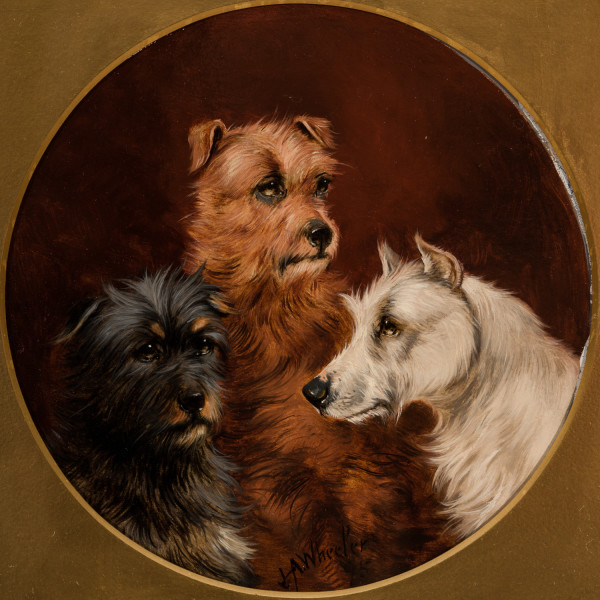 Three Terriers by John Alfred Wheeler