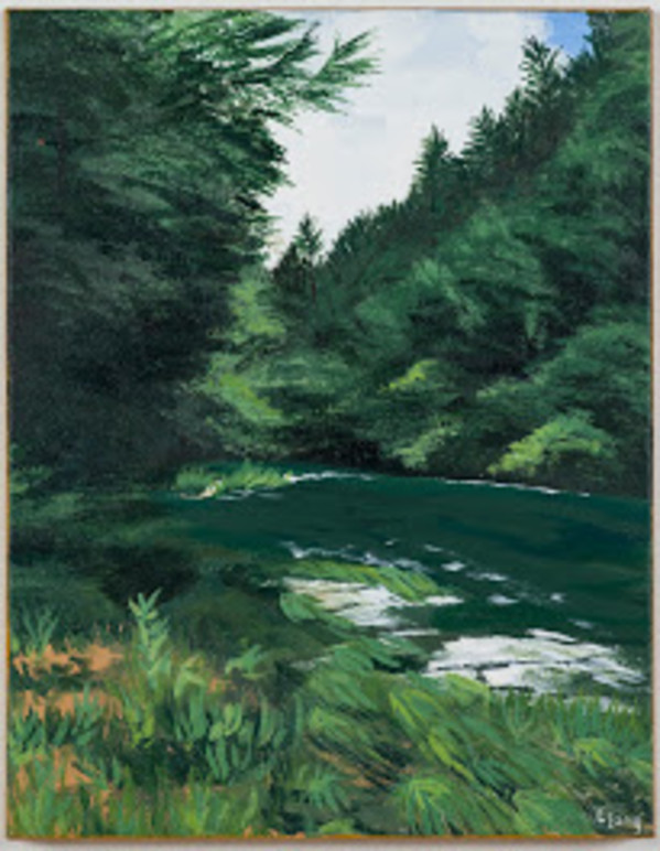 Chattooga River by Elizabeth Lang