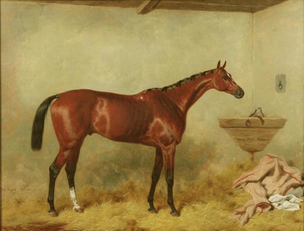 The Celebrated Racehorse "The Duke" in a Stall at Newmarket by Harry Hall