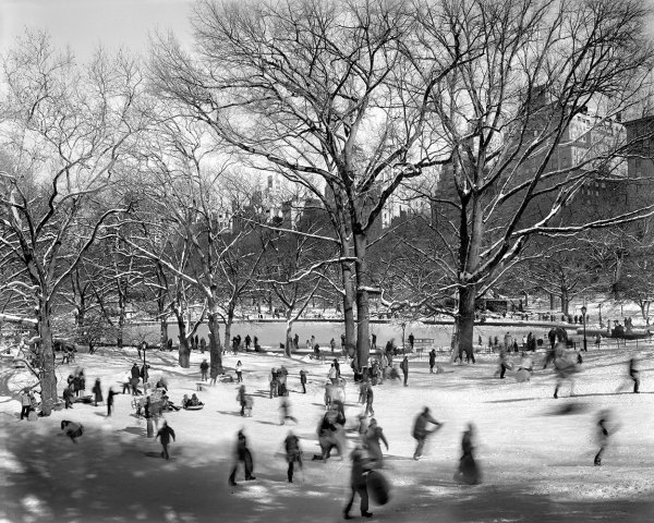 Pilgrim Hill, Central Park, February 9th, 2013, From the City Stages Portfolio by Matthew Pillsbury