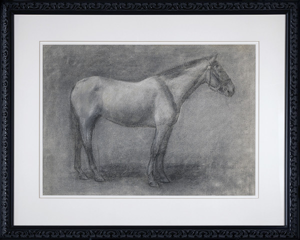 Drawing of Horse by Kate Smith Hoole