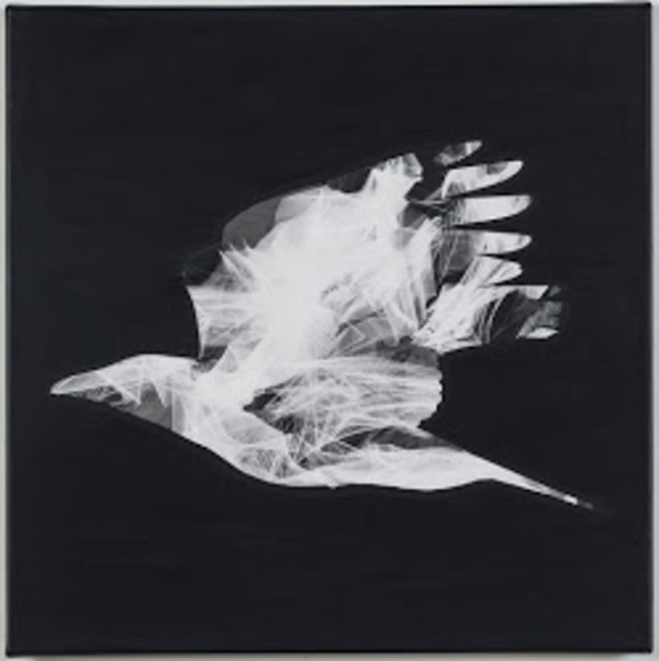 As the Crow Flies I by Lori Lejeune