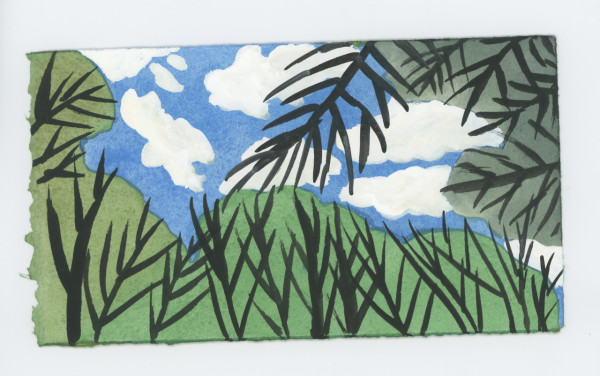 Through the Branches, #1690