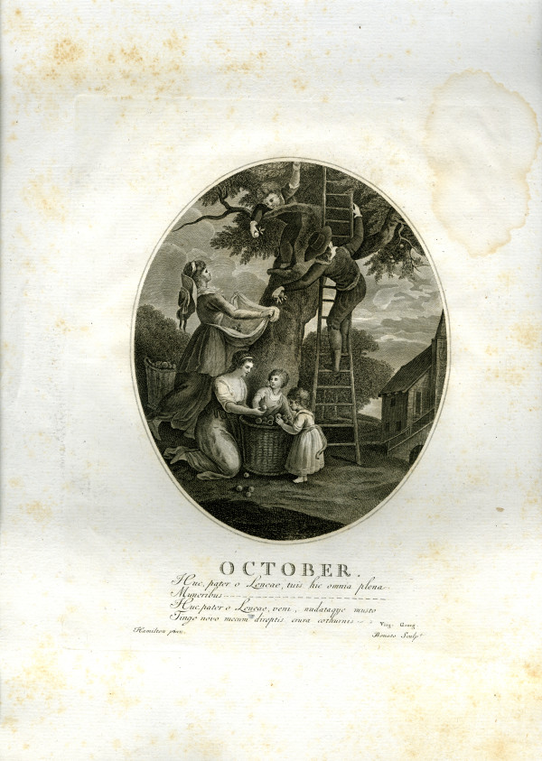 October by William Hamilton