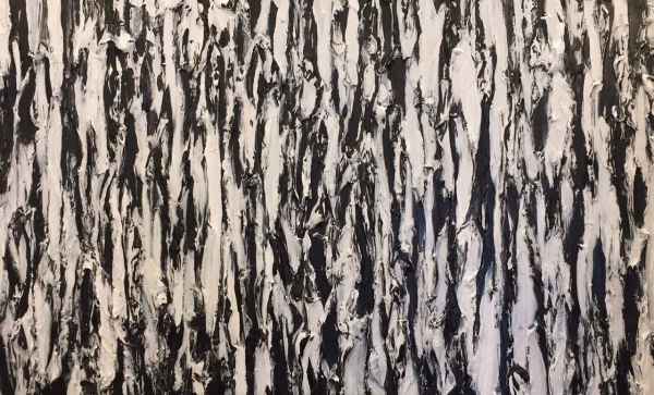 Zebra by Steve Lyons Gallery
