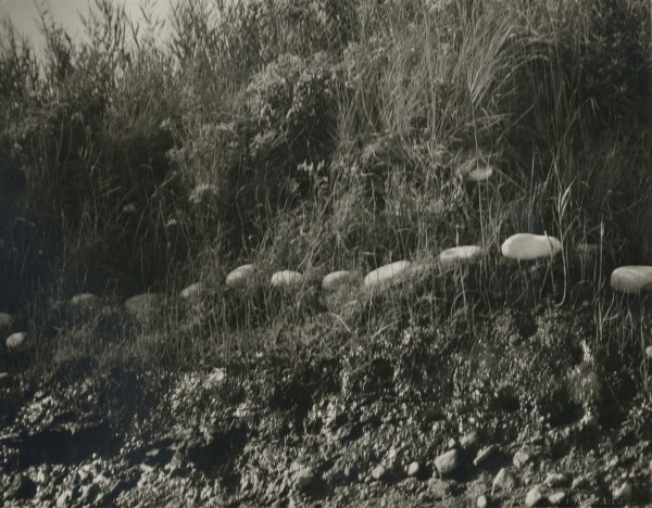 Rocks, Grasses by Andy Warhol