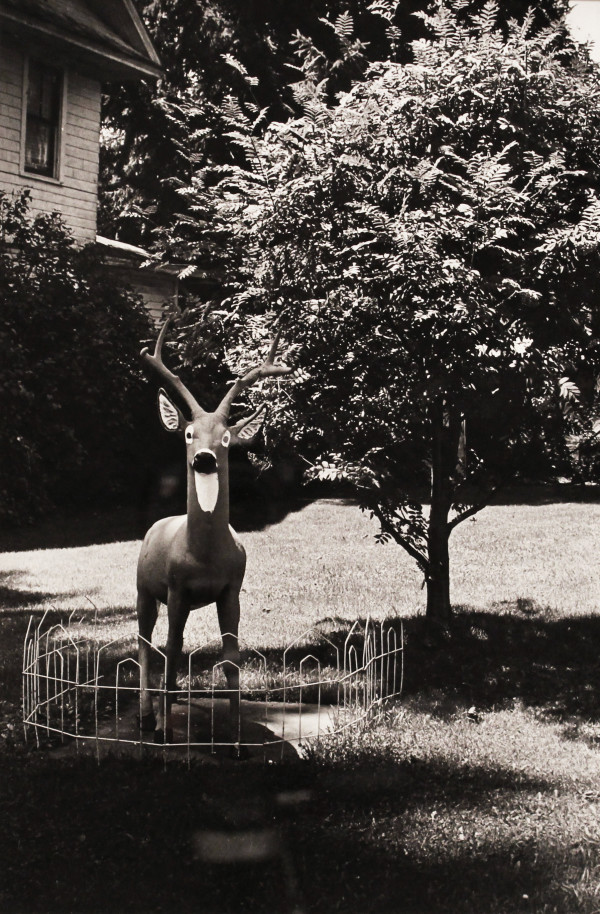 Reindeer On Lawn by N. Jay Jaffee