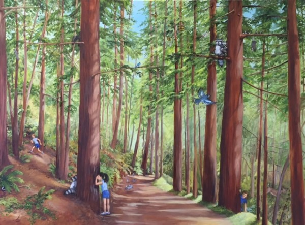 Redwood Grove Old La Honda Road by Kit Colman