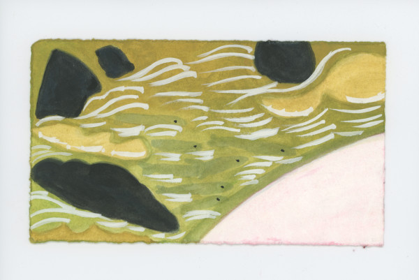 Fish on the Edge of the Falls, #1775