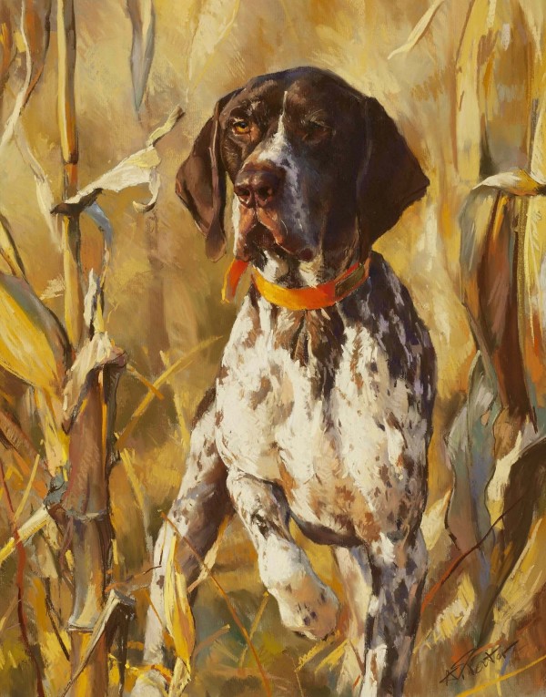 German Shorthair Pointer On Point by Andre Pater