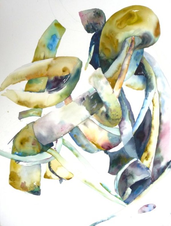 Kelp with White, Antartica by Lisa Goren