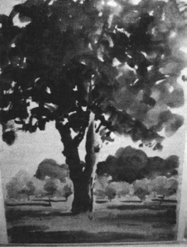 Big Tree Little Trees by Tunis Ponsen