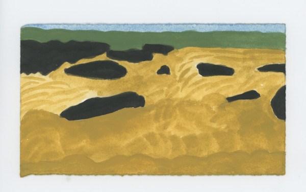 Great Falls From the Overlook Today, #1698