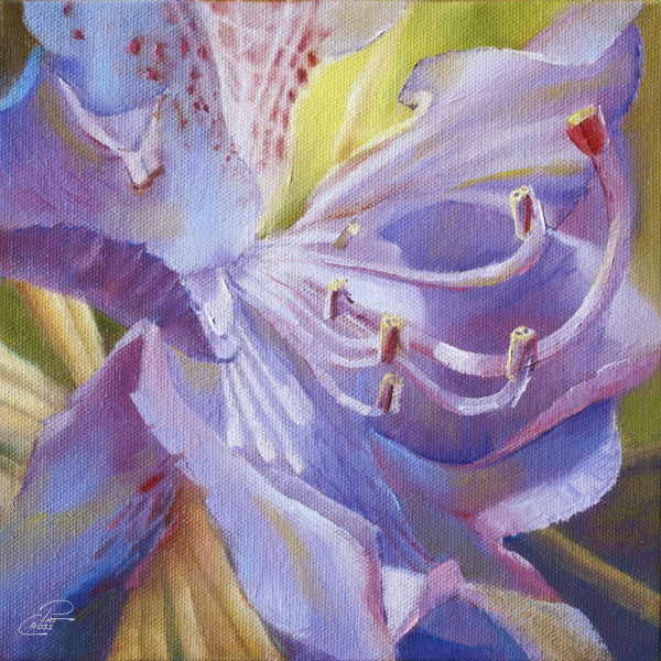 Radiant Rhododendron I by Pat Cross