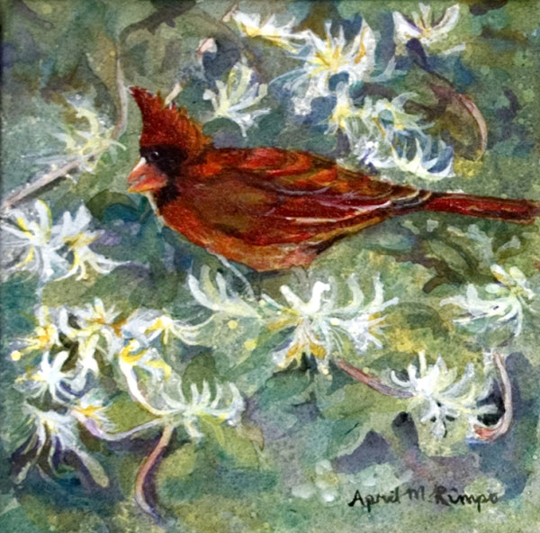 Cardinal on Honeysuckle by April Rimpo