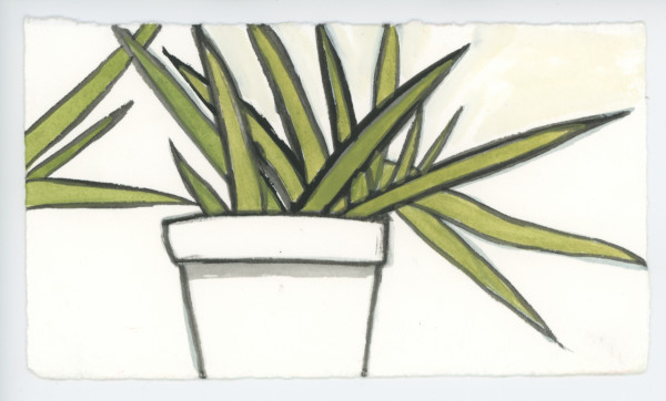 The Rhino Grass, #1620