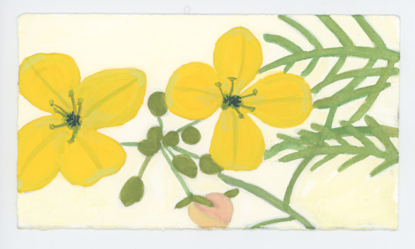 Arugula Flowers, #1659