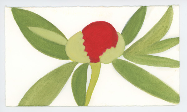 Red Peony Bud, #1627