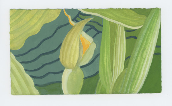 The Elephant Ear Flower #1914