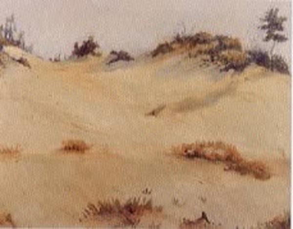 Dune Scene by Tunis Ponsen