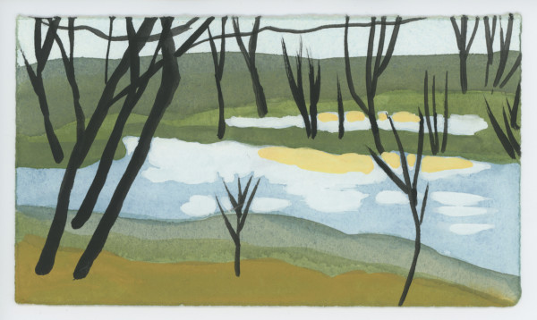 Along the River Above Great Falls, #1580