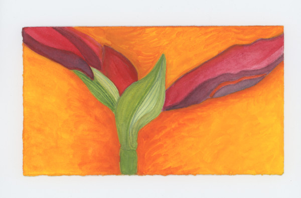 The Amarlyllis, #1884