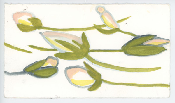 The Star Magnolia Buds, #1565