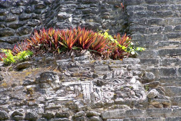 On Mayan Ruins by Joy Shiller
