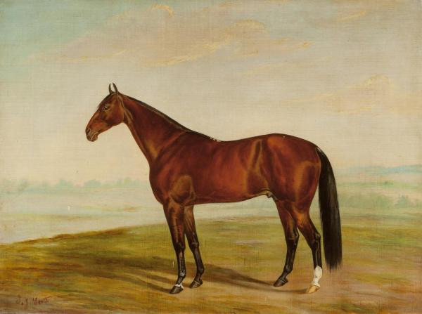 Horse in a Landscape by Thomas James Scott