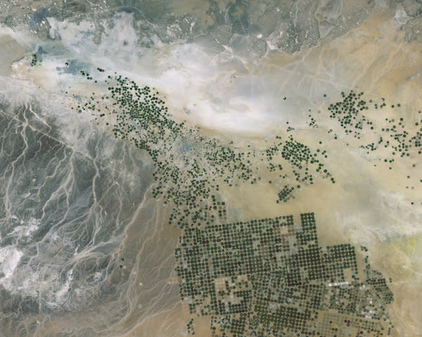 Organic Farming in Saudi Arabia by Jeremy Starn