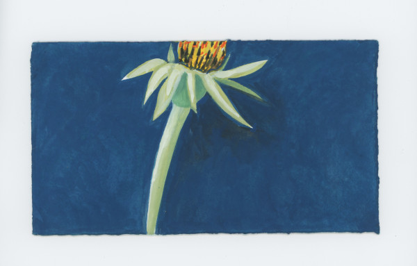 Before the Frost, #1798