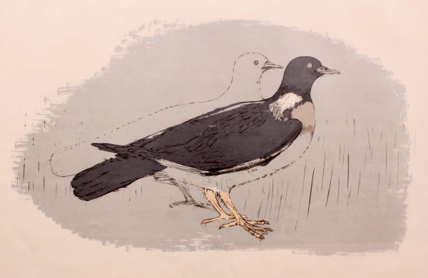 Wood Pigeons by Dame Elisabeth Frink